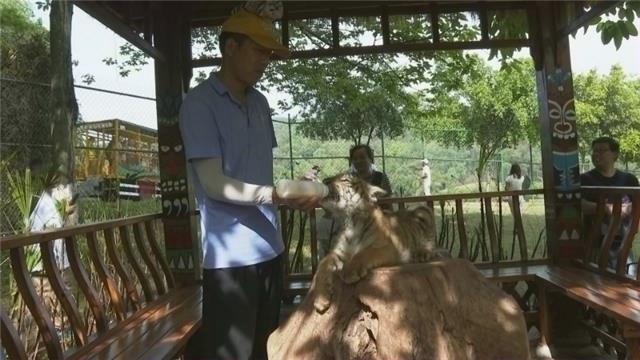 永川：游客与野生动物欢乐过“五一”