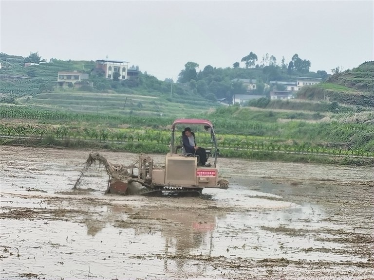 永川：“农事热线”让种地省心又省力