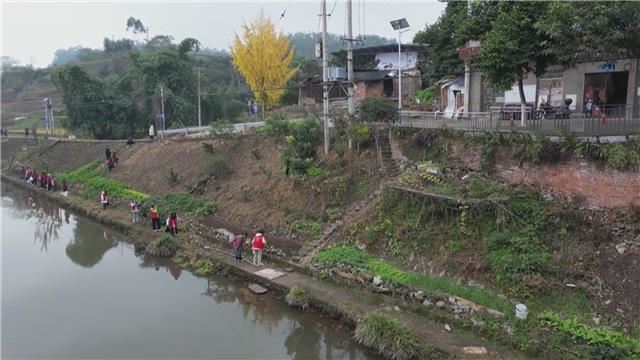 永川:“志愿红”守护“生态绿”共绘生态“新画卷”
