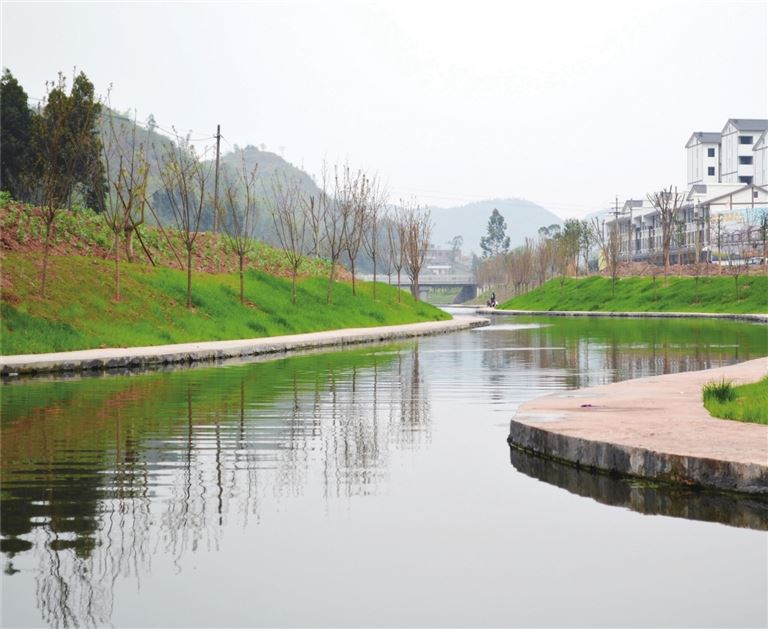 以“大综合”之笔绘“新画卷”之美金龙镇探索文明创建长效新路径