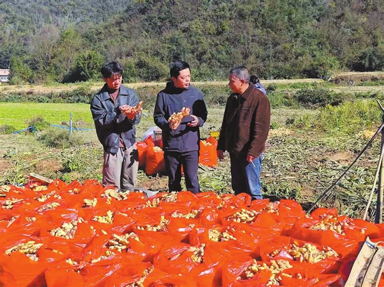 重庆文理学院获批市级生姜品种测试与特性鉴定基地