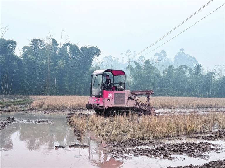 铁牛取代老牛科技唤醒田野——永川区何埂镇石笋山村机械化早耕见闻