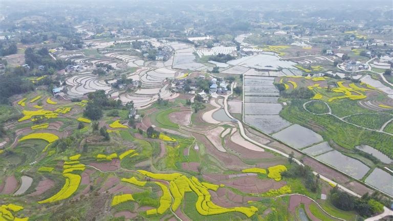 三维聚力下的联盟蝶变——永川区何埂镇联盟村乡村振兴实践纪实