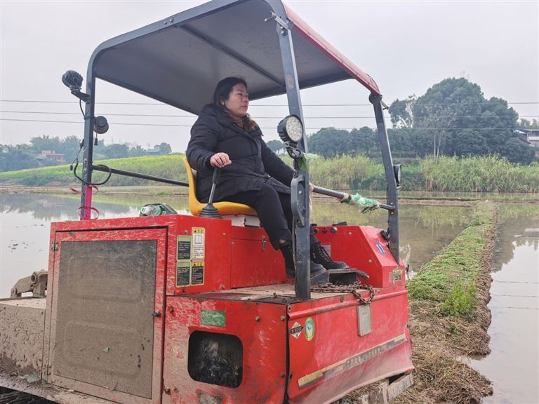 田间地头耕作忙