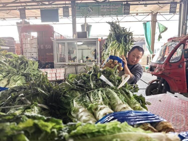 新春走基层|10筐蔬菜7筐来自双福过年的“菜篮子”稳了