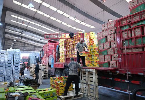 新春走基层|双福农贸城保供忙:果蔬充足价稳撑起西南万家团圆饭