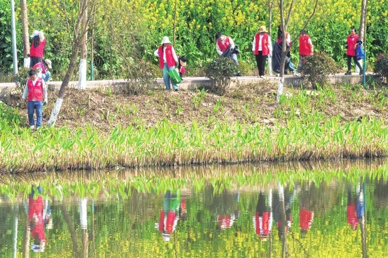 “志愿红”擦亮文明底色