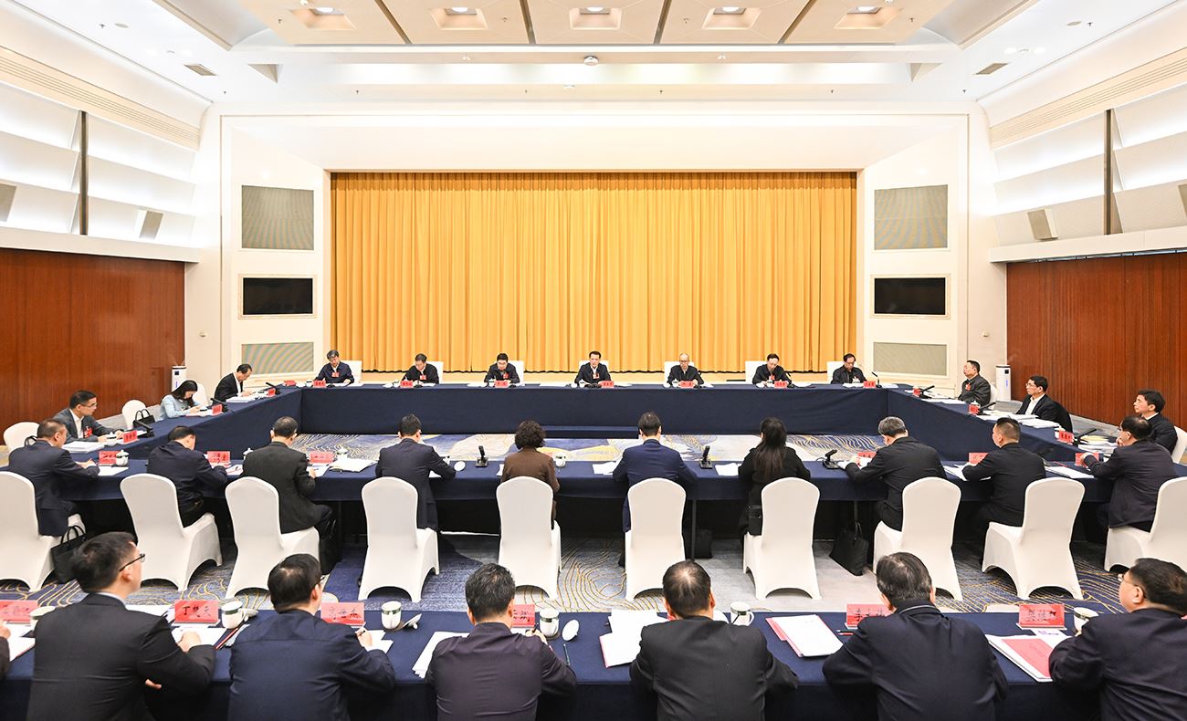 重庆代表团审查计划报告和预算报告袁家军胡衡华王炯张轩参加