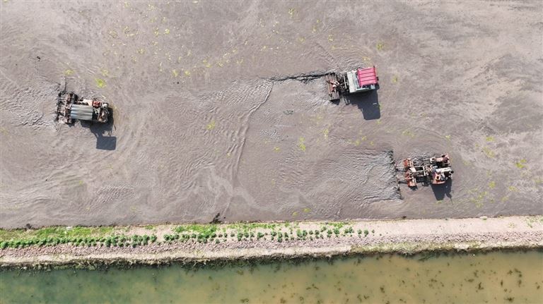 板桥镇：春耕大幕启