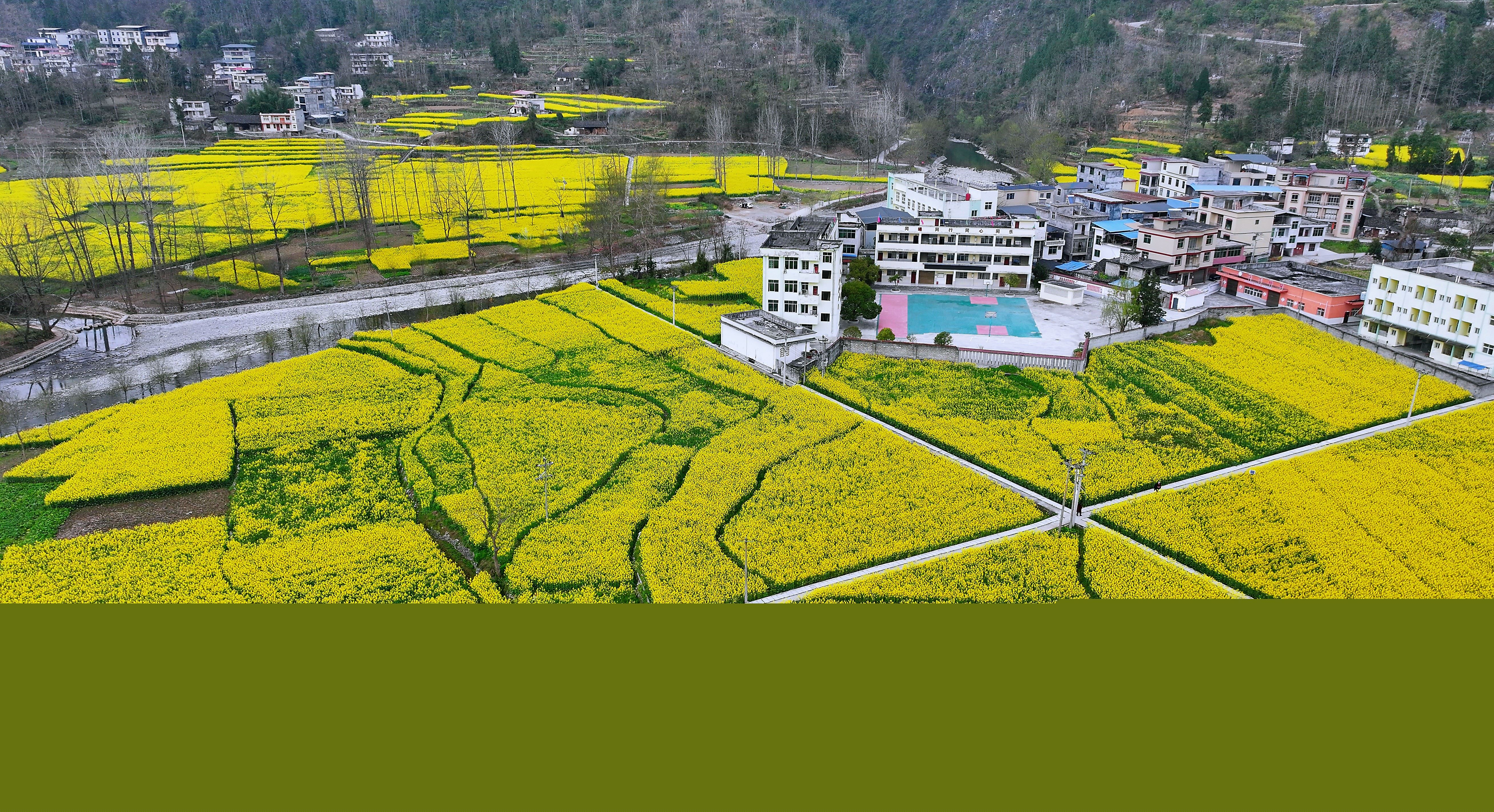 重报观察｜掘金“花”经济！“赏花+”拓展多元文旅消费