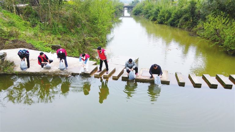 九龙河畔春潮涌万尾鱼苗“跃”龙门